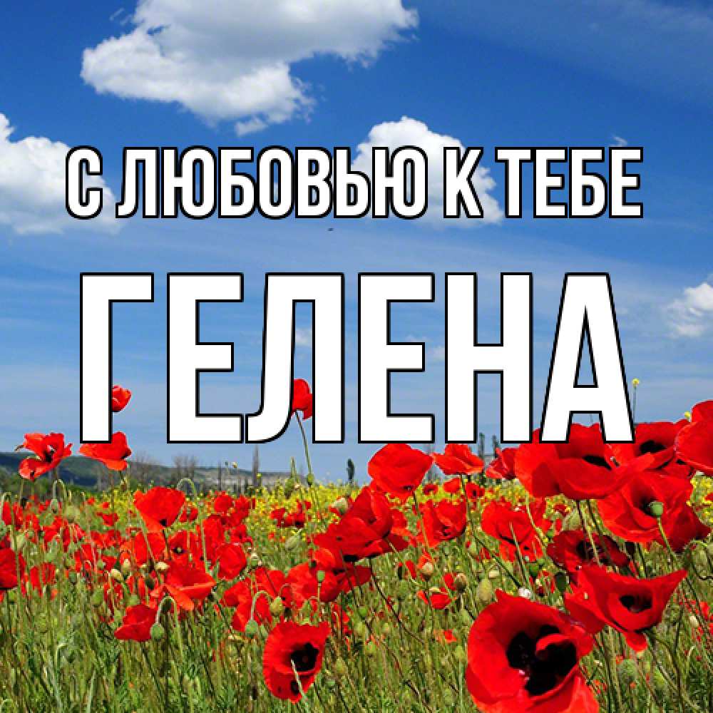 Открытка  с именем. Гелена, С любовью к тебе  