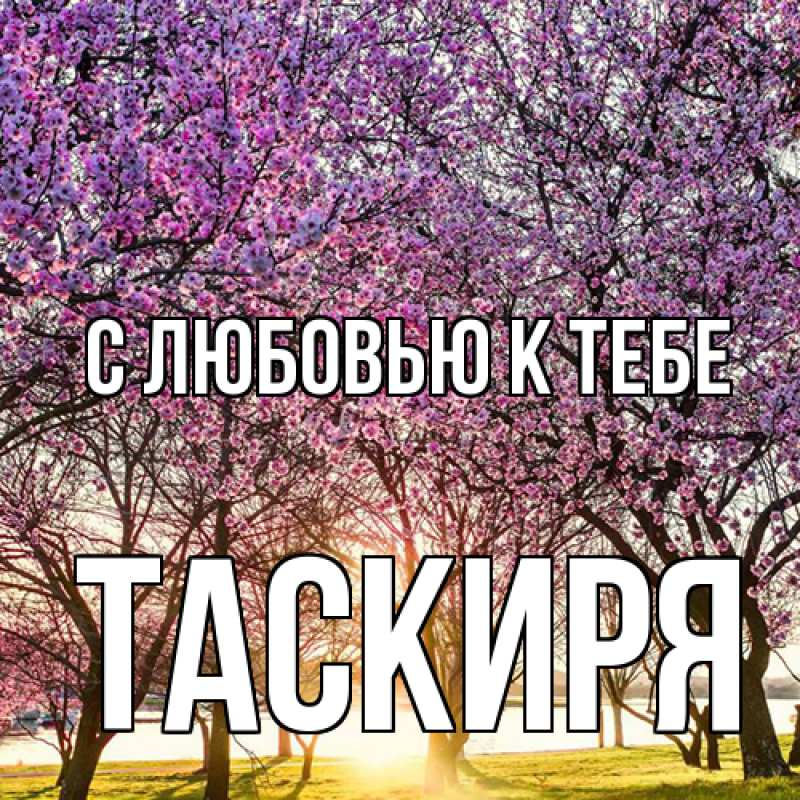 Картинка С любовью к тебе, Таскиря
