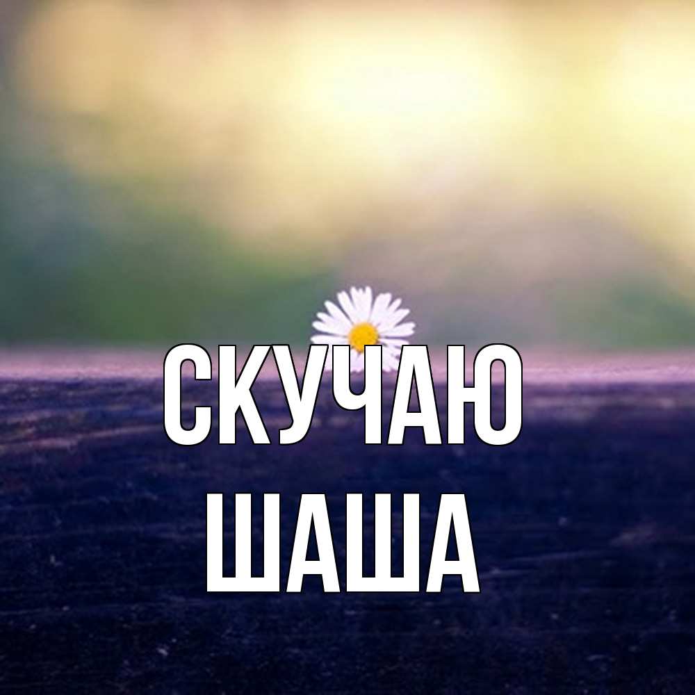 Открытка  с именем. Шаша, Скучаю  