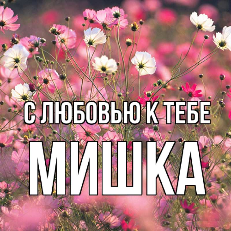 Картинка С любовью к тебе, Мишка