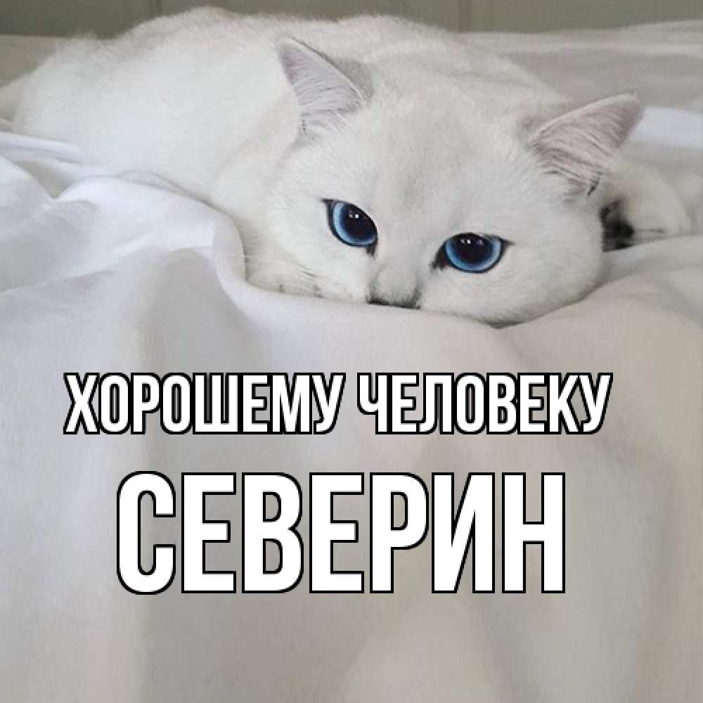 Открытка  с именем. Северин, Хорошему человеку  