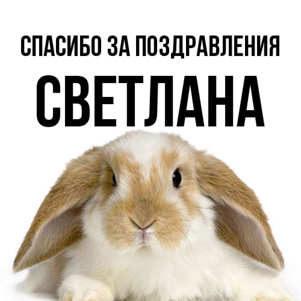 Открытка  с именем. Светлана, Спасибо за поздравления  