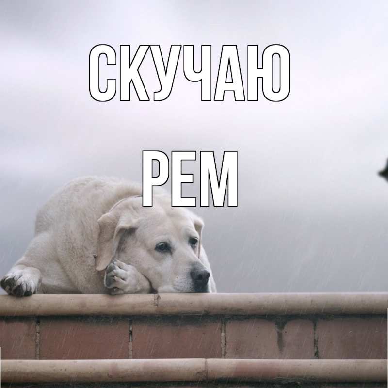 Картинка Скучаю, Рем