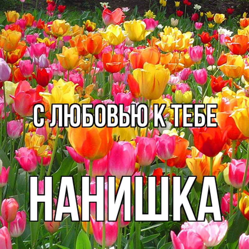 Картинка С любовью к тебе, Нанишка