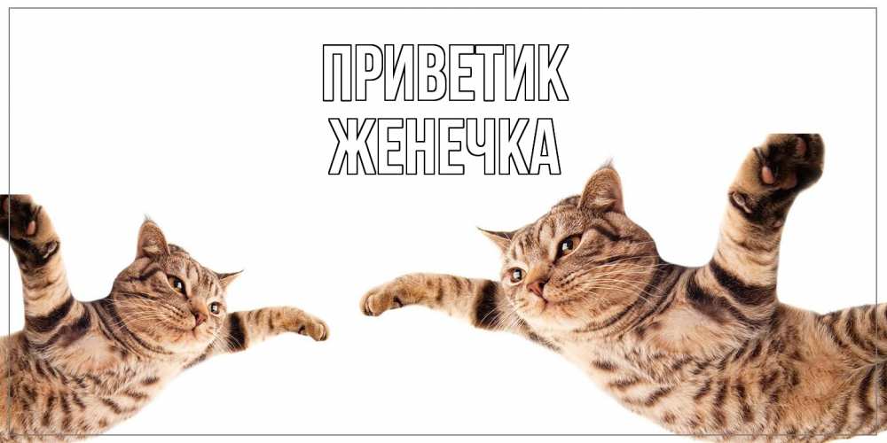 Открытка  с именем. Женечка, приветик  