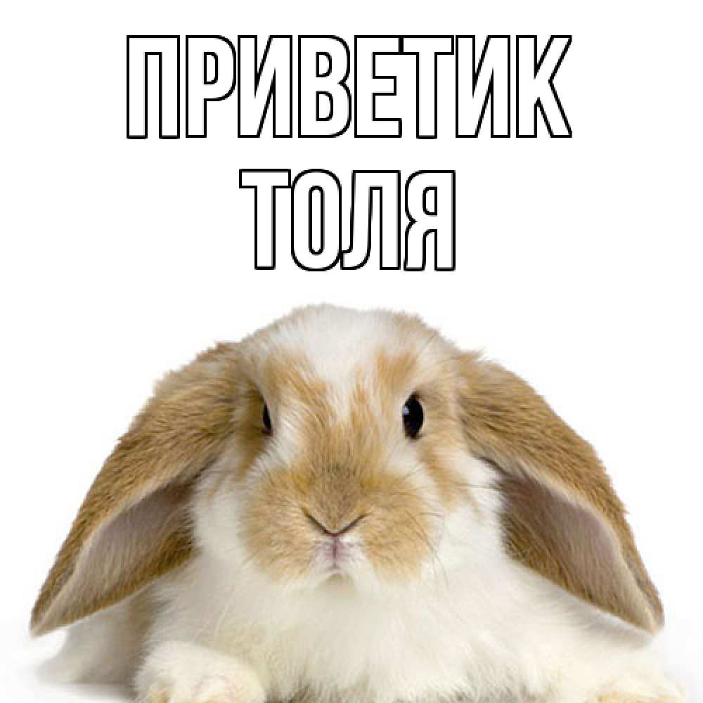 Открытка  с именем. ТОЛЯ, приветик  
