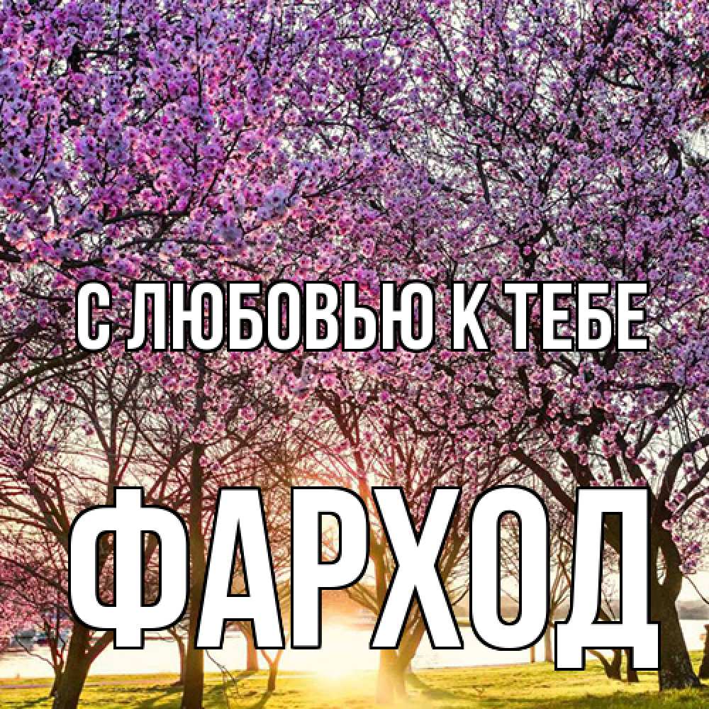 Открытка  с именем. Фарход, С любовью к тебе  