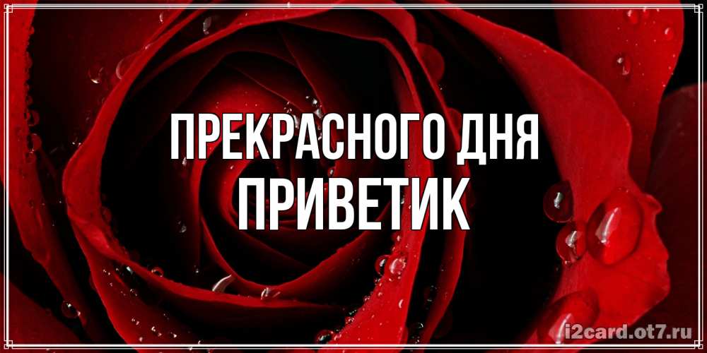Открытка  с именем. приветик, Прекрасного дня  