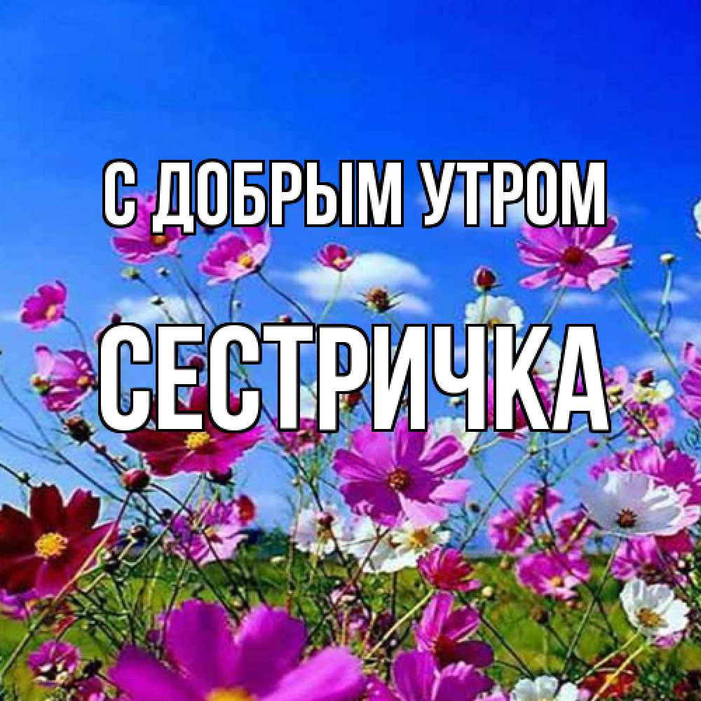 Открытка  с именем. Сестричка, С добрым утром  