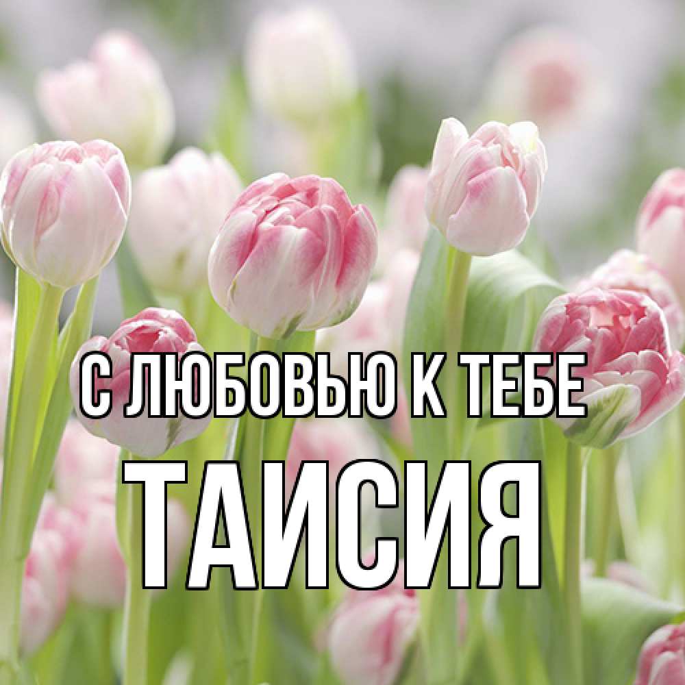 Открытка  с именем. Таисия, С любовью к тебе  