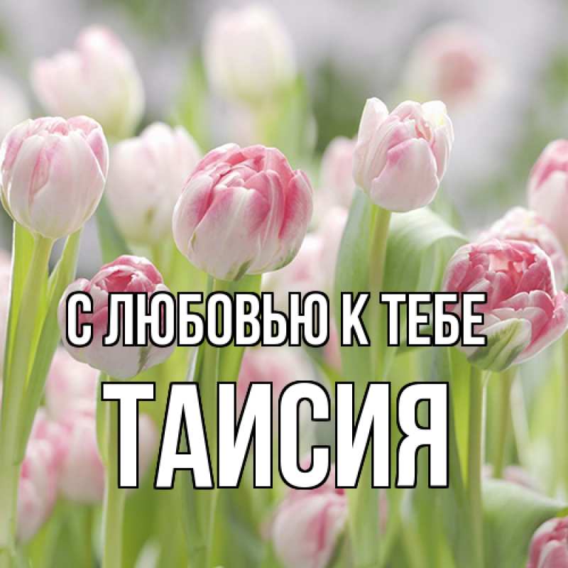 Картинка С любовью к тебе, Таисия