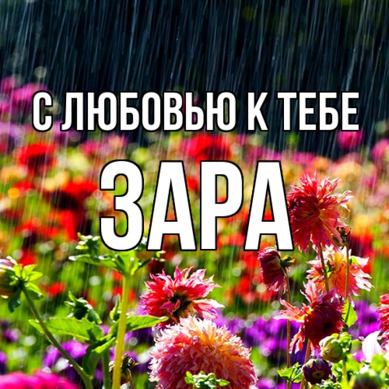Картинка С любовью к тебе, Зара