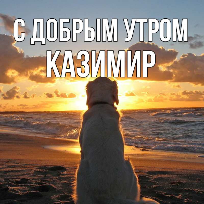 Картинка С добрым утром, Казимир