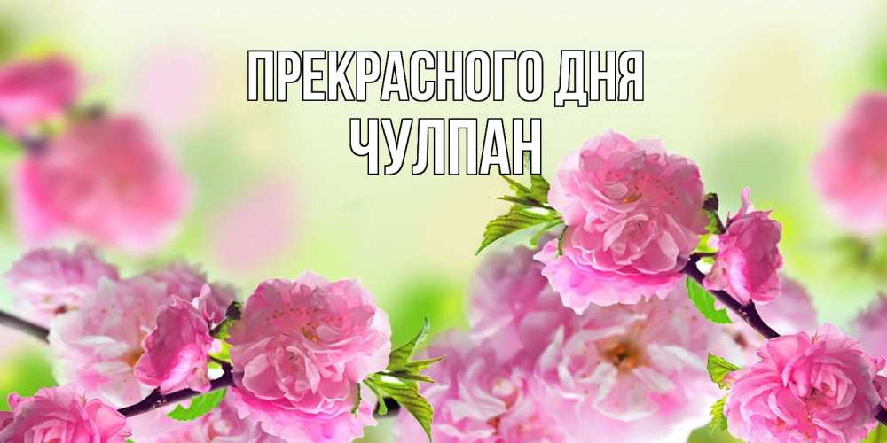 Открытка  с именем. Чулпан, Прекрасного дня  