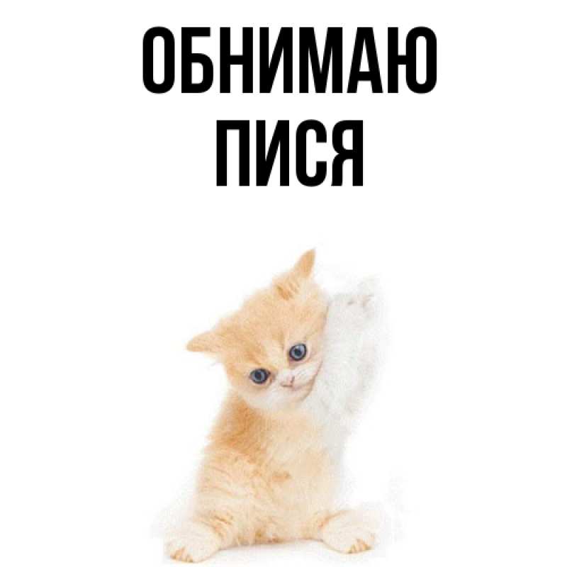 Картинка Обнимаю, Пися