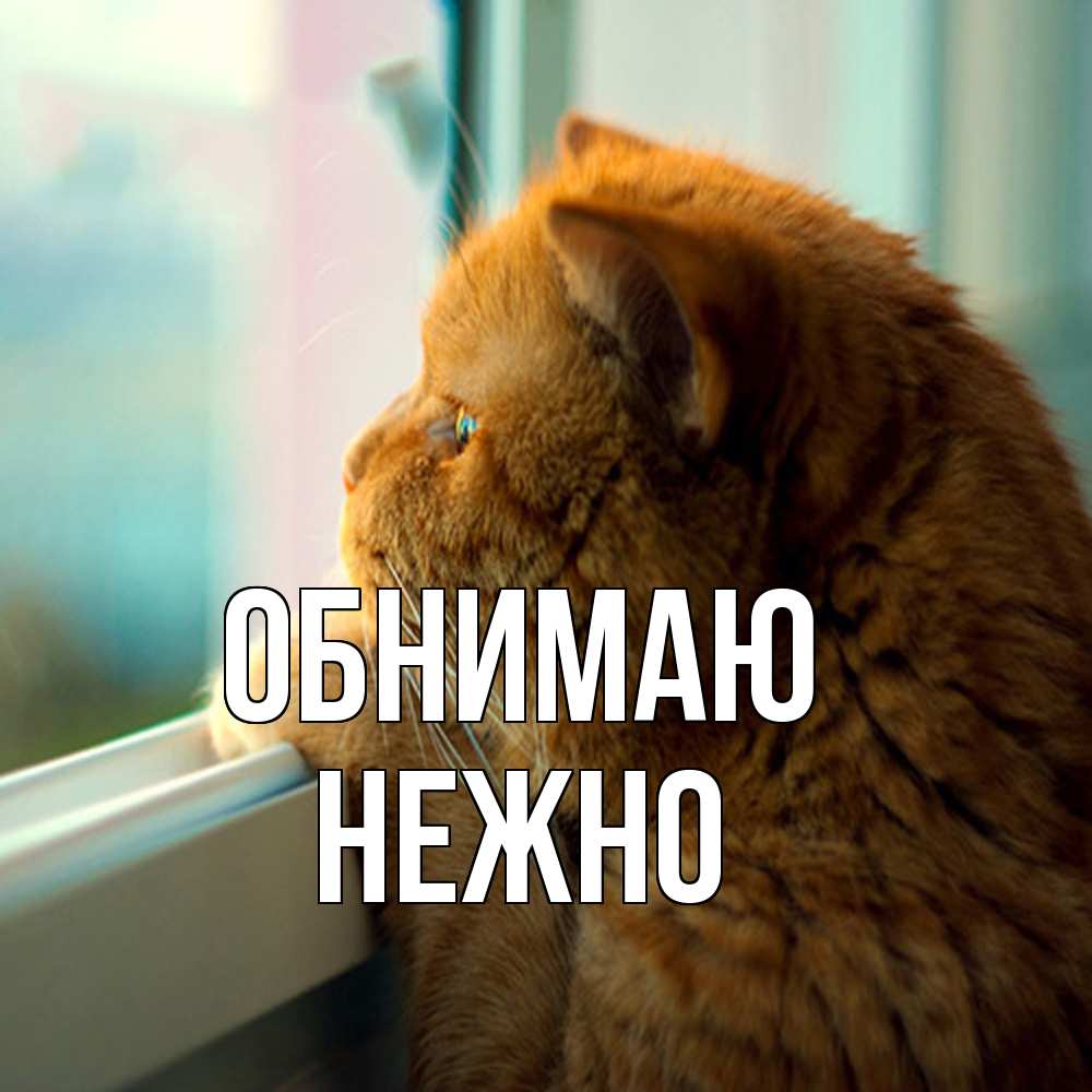 Открытка  с именем. Нежно, Обнимаю  