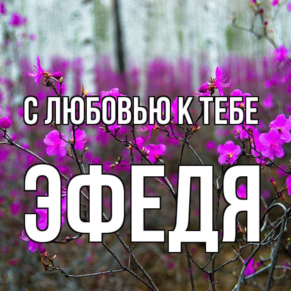 Открытка  с именем. ЭФедя, С любовью к тебе  