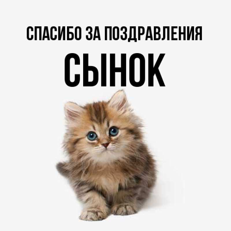 Спасибо сынуля. Спасибо сынуля