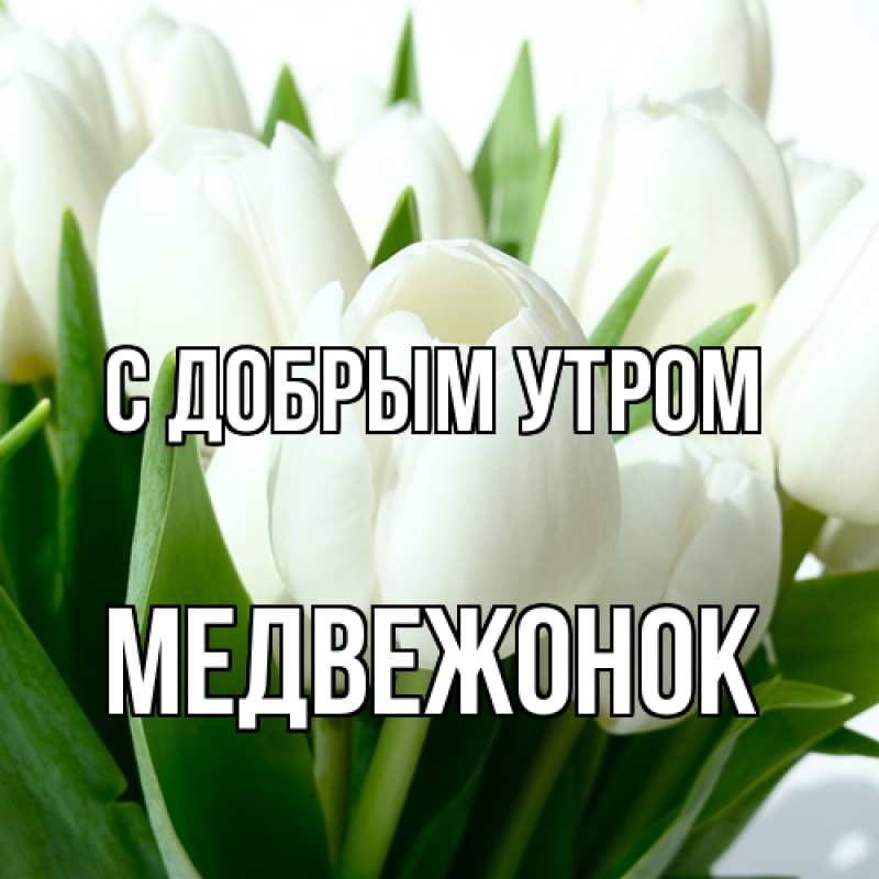 Картинка С добрым утром, Медвежонок