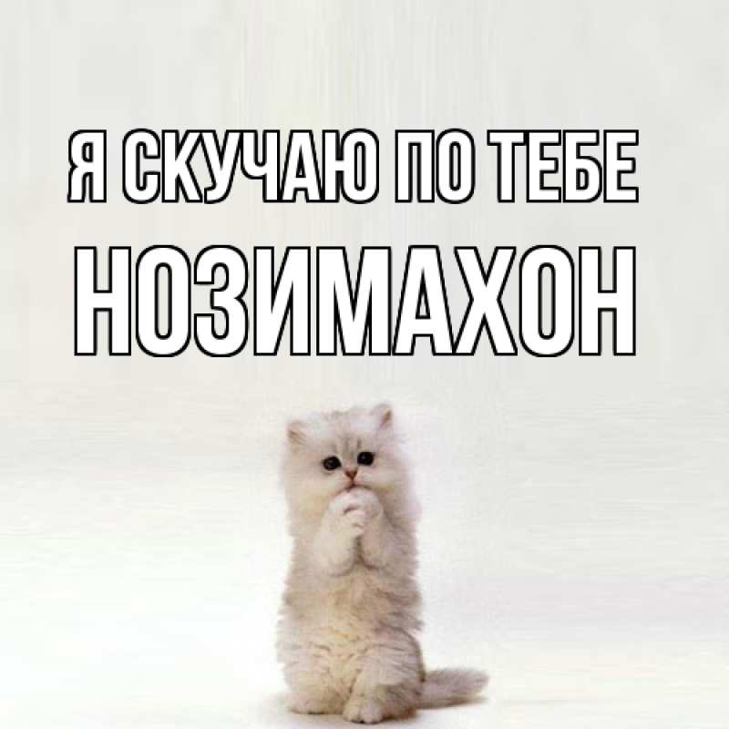 Картинка Я скучаю по тебе, Нозимахон