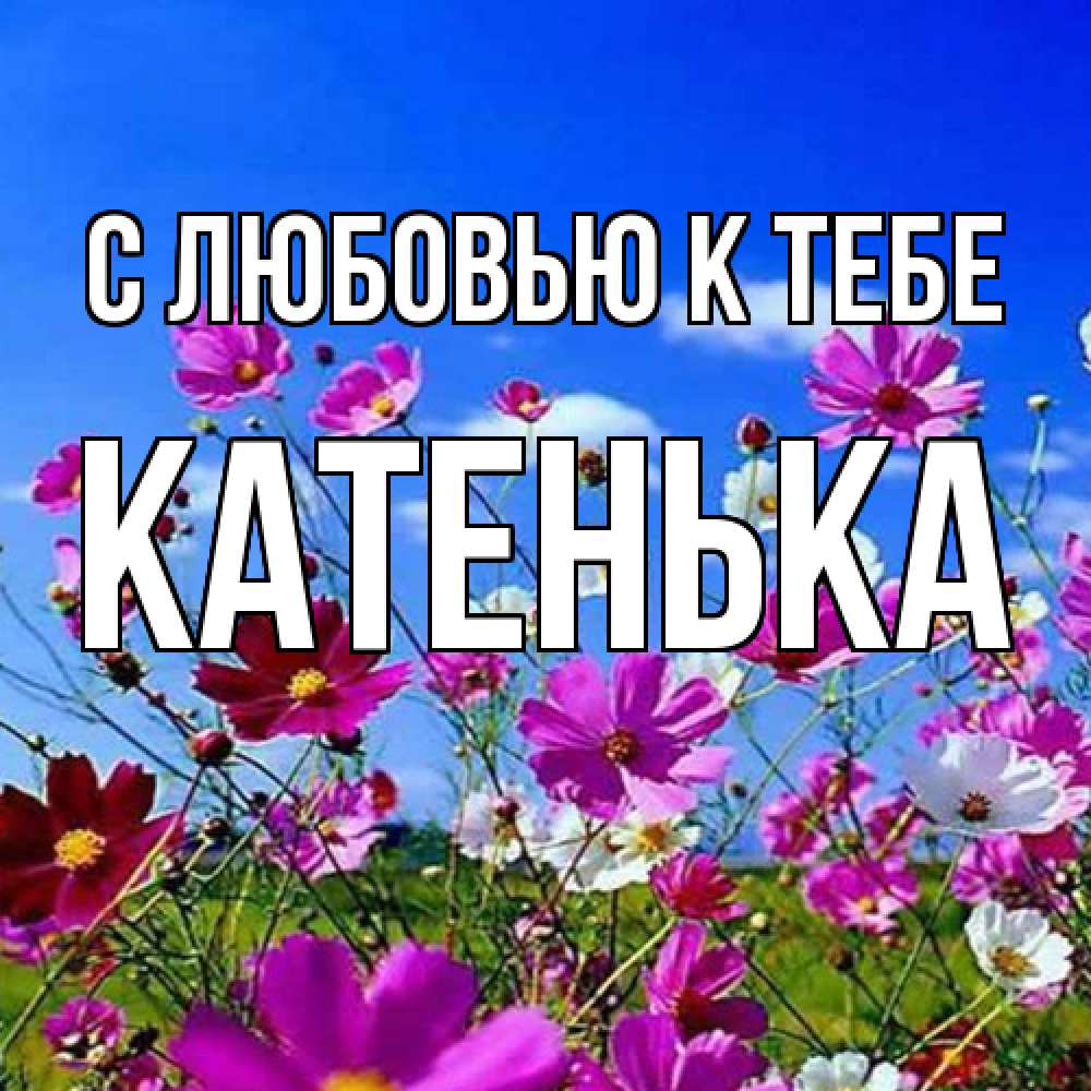 Открытка  с именем. Катенька, С любовью к тебе  