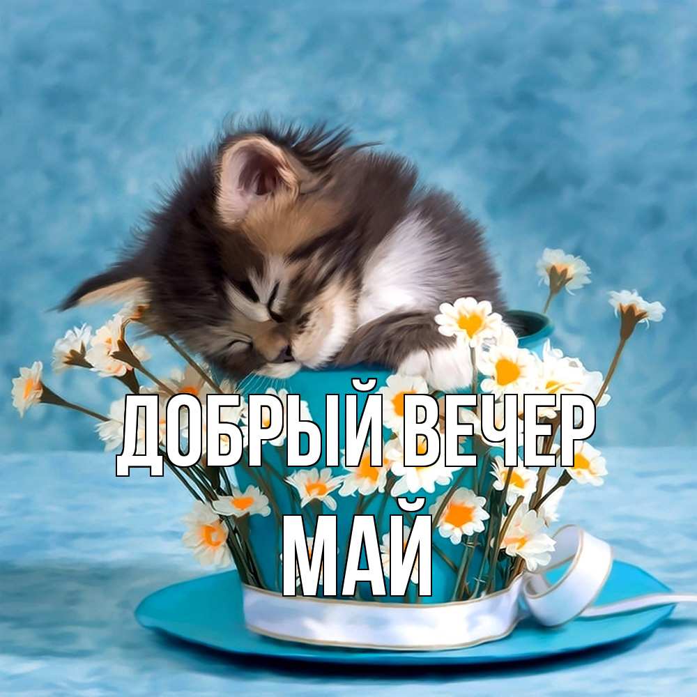 Открытка  с именем. Май, Добрый вечер  