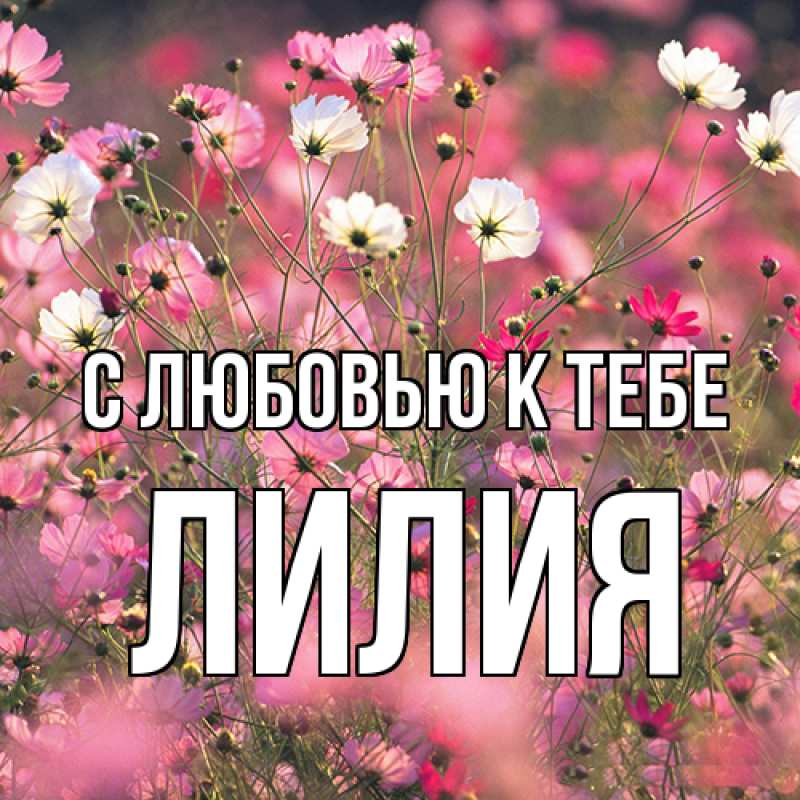 Картинка С любовью к тебе, ЛИлия