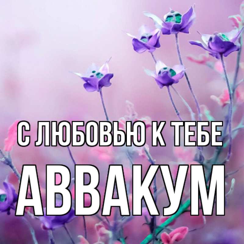 Картинка С любовью к тебе, Аввакум