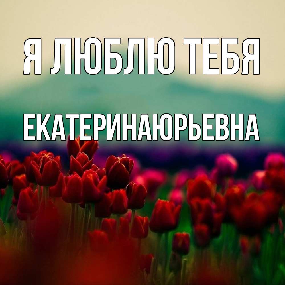 Открытка  с именем. ЕкатеринаЮрьевна, Я люблю тебя  