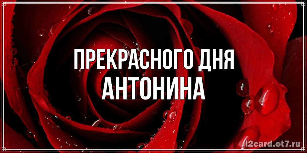 Открытка  с именем. Антонина, Прекрасного дня  