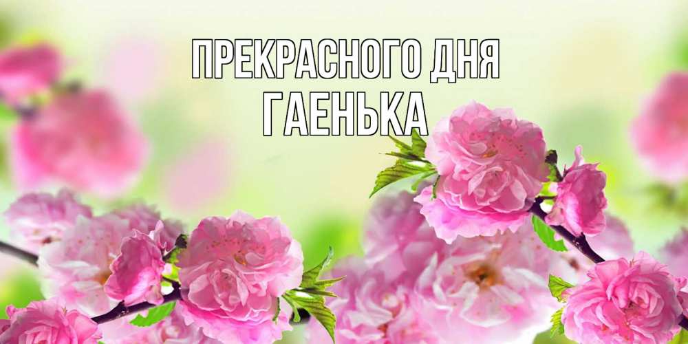 Открытка  с именем. Гаенька, Прекрасного дня  