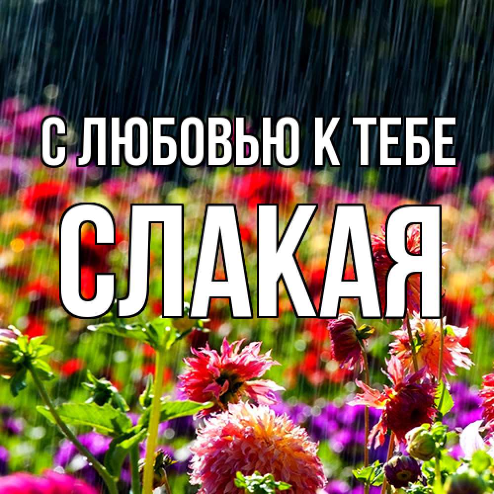 Открытка  с именем. Слакая, С любовью к тебе  