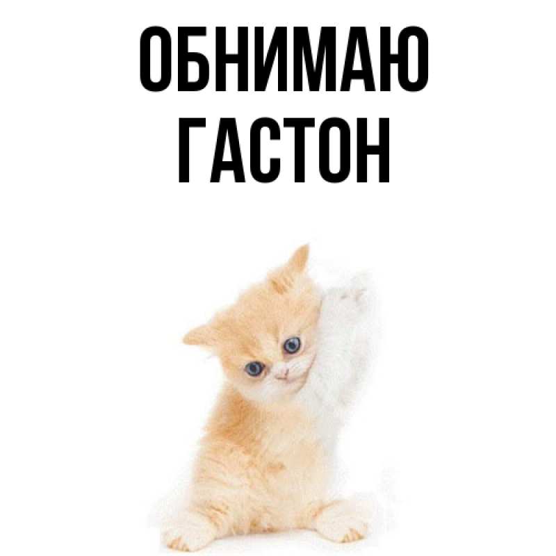 Картинка Обнимаю, Гастон