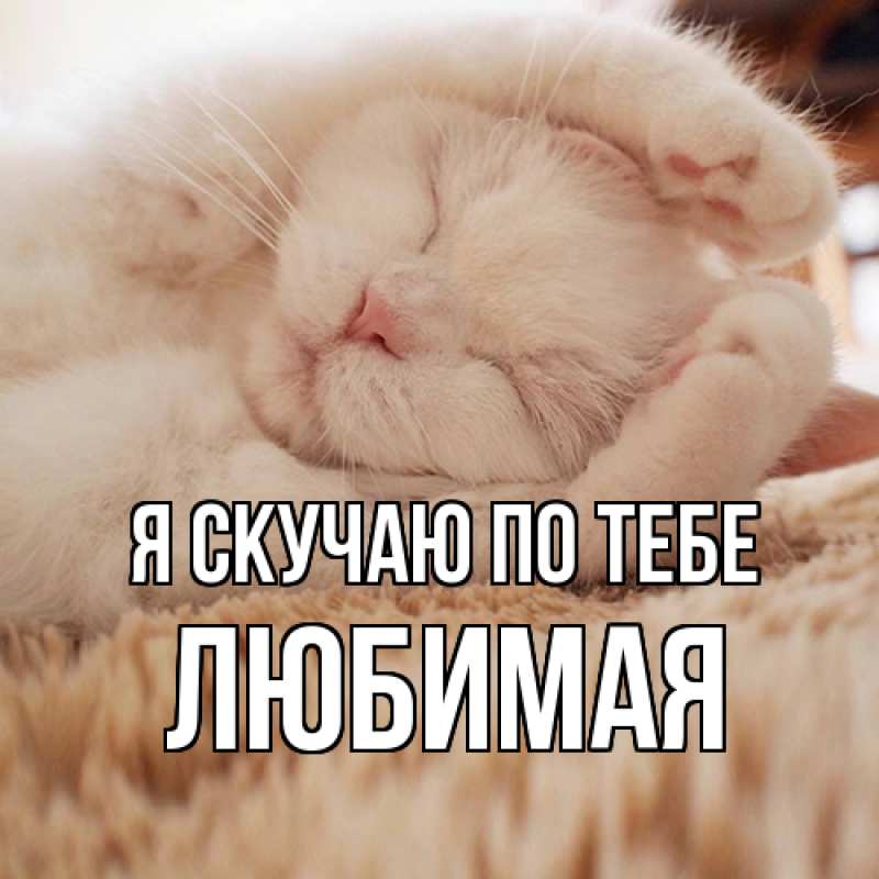 Картинка Я скучаю по тебе, Любимая