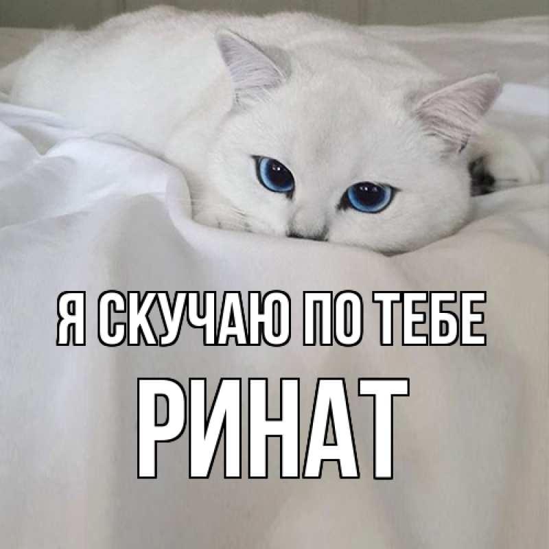 Картинка Я скучаю по тебе, Ринат