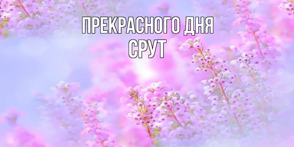 Открытка  с именем. срут, Прекрасного дня  