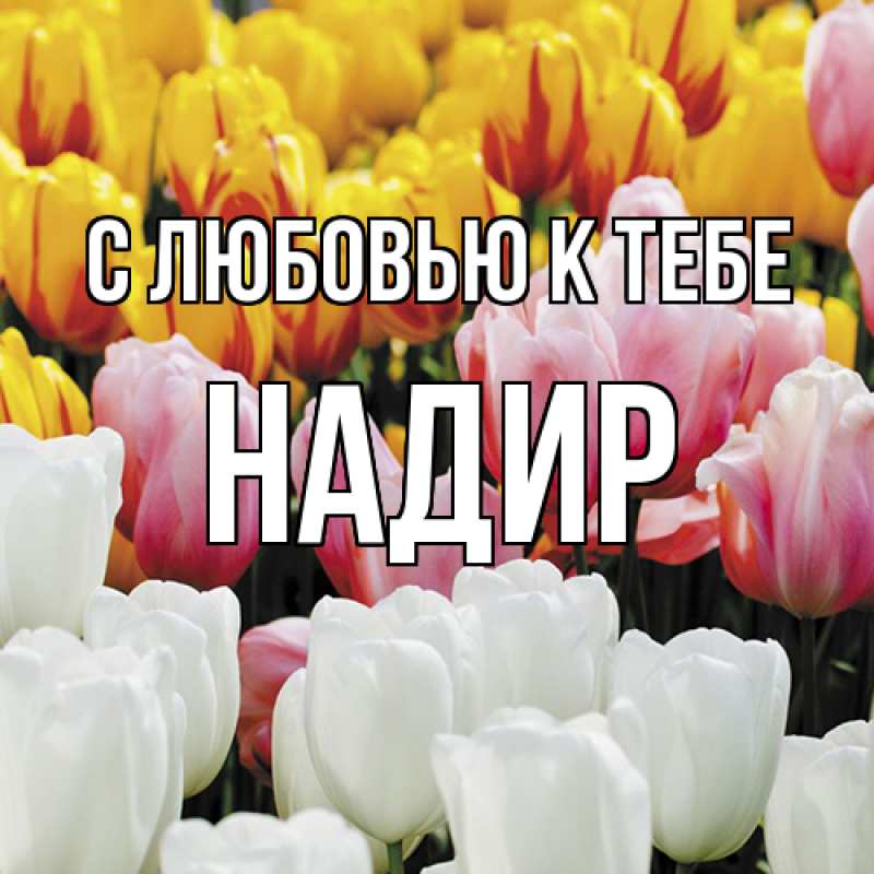 Картинка С любовью к тебе, Надир