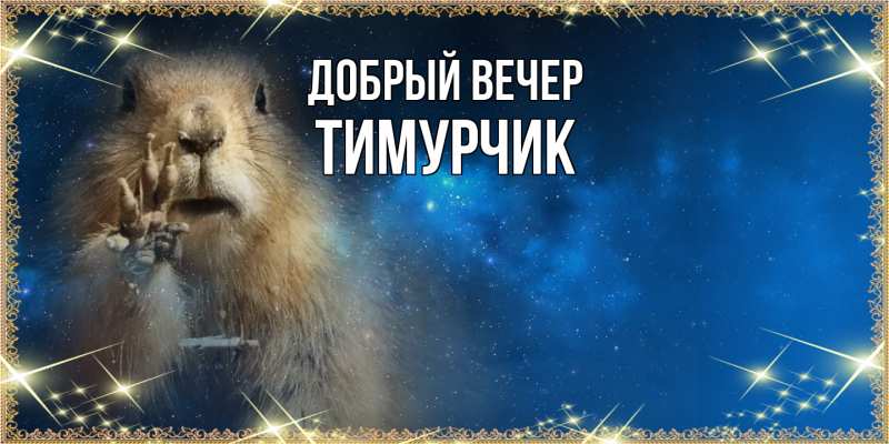 Картинка Добрый вечер, Тимурчик