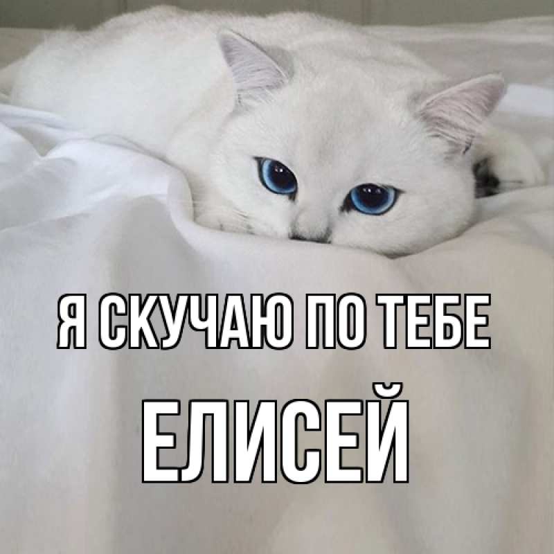 Картинка Я скучаю по тебе, Елисей