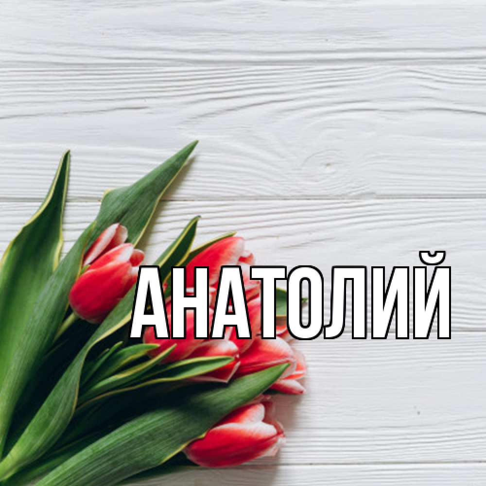 Открытка  с именем. Анатолий, Главная  