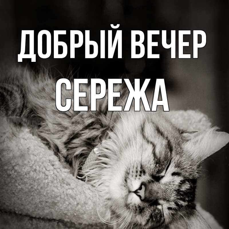 Картинка Добрый вечер, СЕРЕЖа