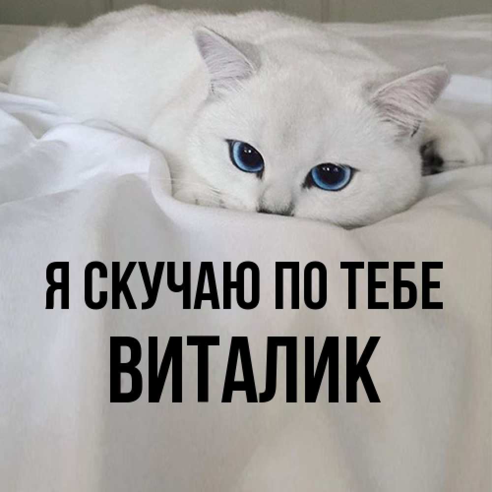 Открытка  с именем. Виталик, Я скучаю по тебе  