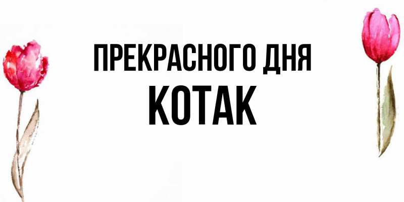 Картинка Прекрасного дня, КОТАК