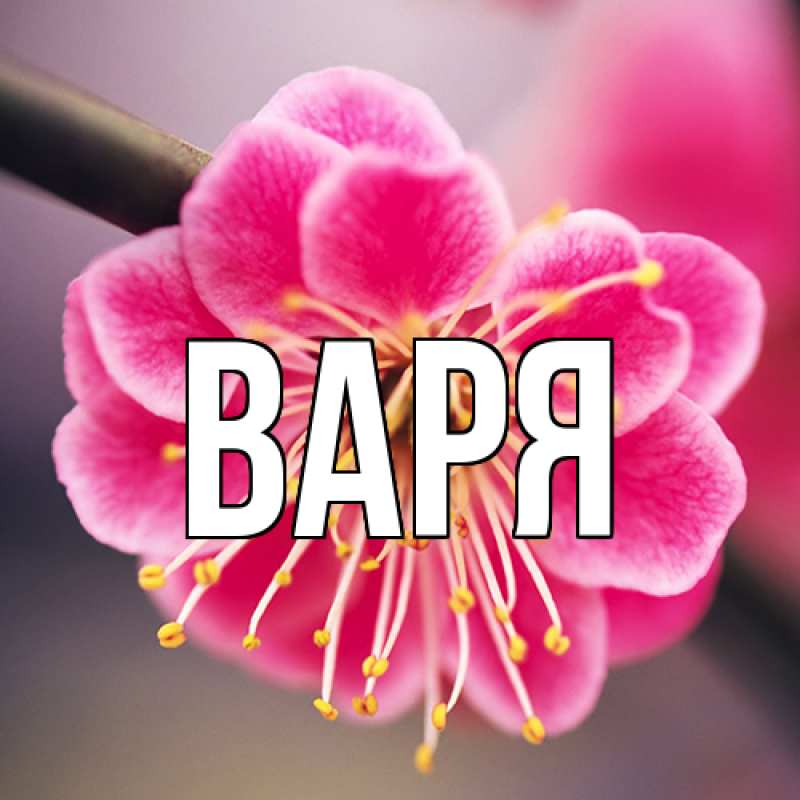 Картинка  с именем , варя