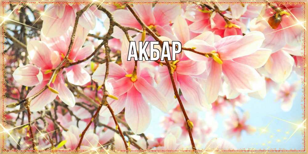 Открытка  с именем. Акбар, Главная  