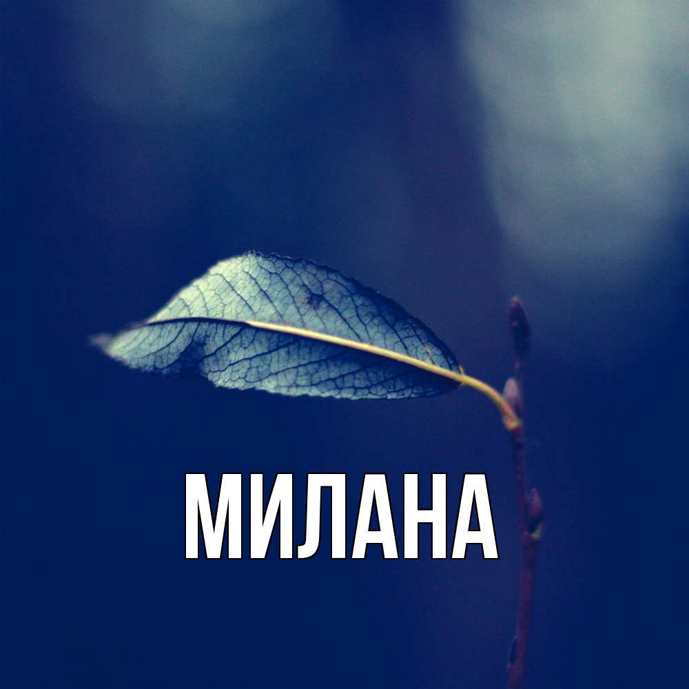 Открытка  с именем. Милана, Главная  
