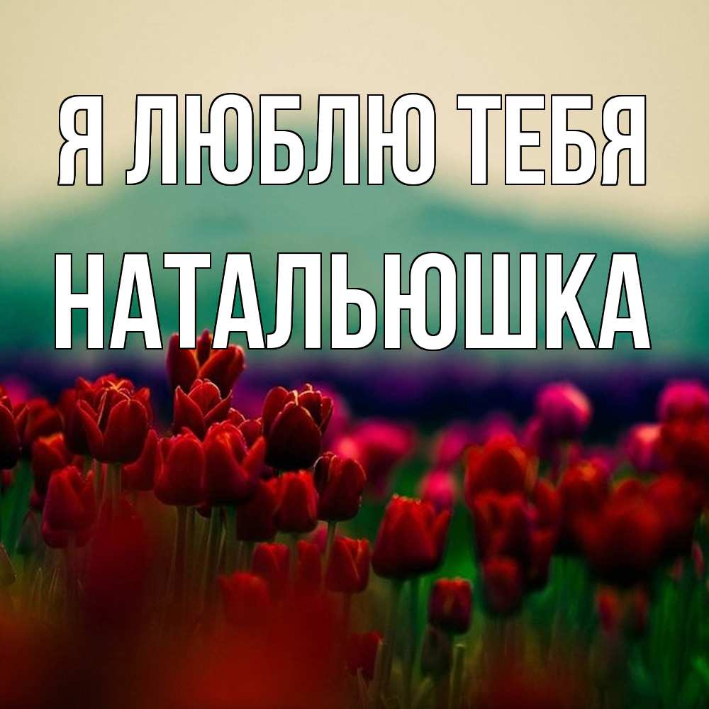 Открытка  с именем. Натальюшка, Я люблю тебя  