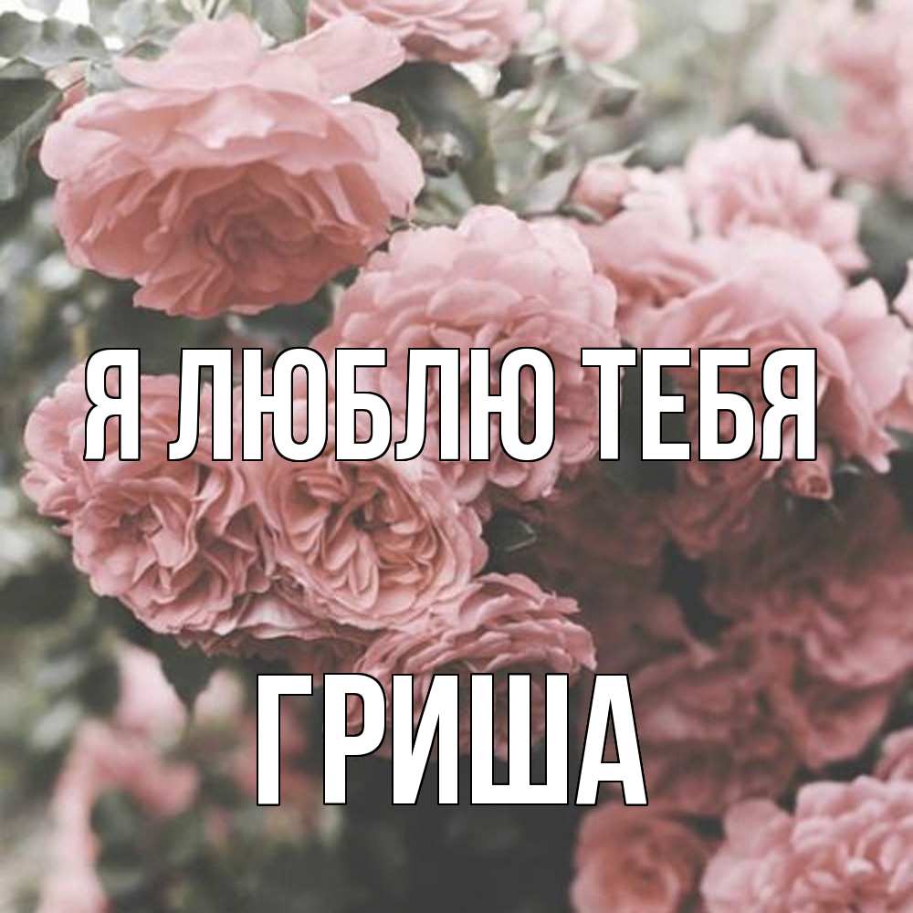 Открытка  с именем. Гриша, Я люблю тебя  