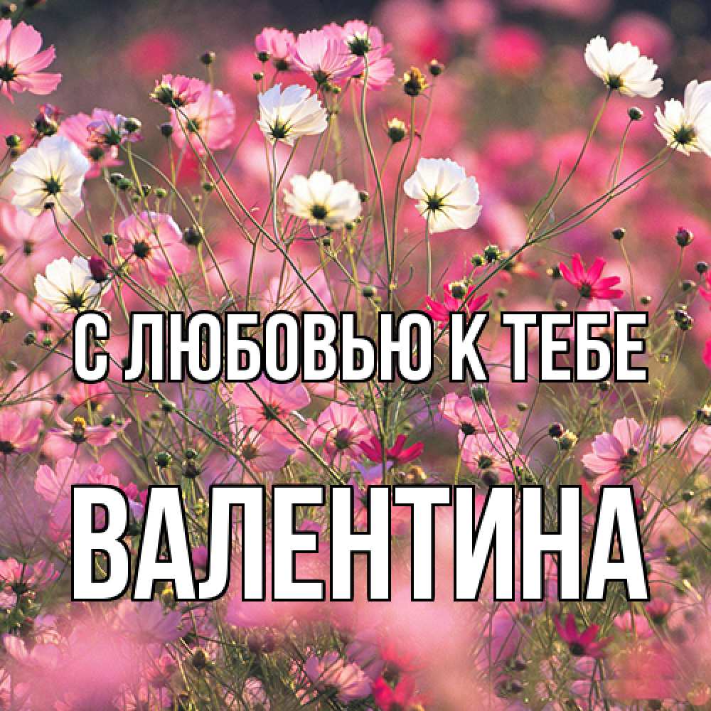 Открытка  с именем. валентина, С любовью к тебе  