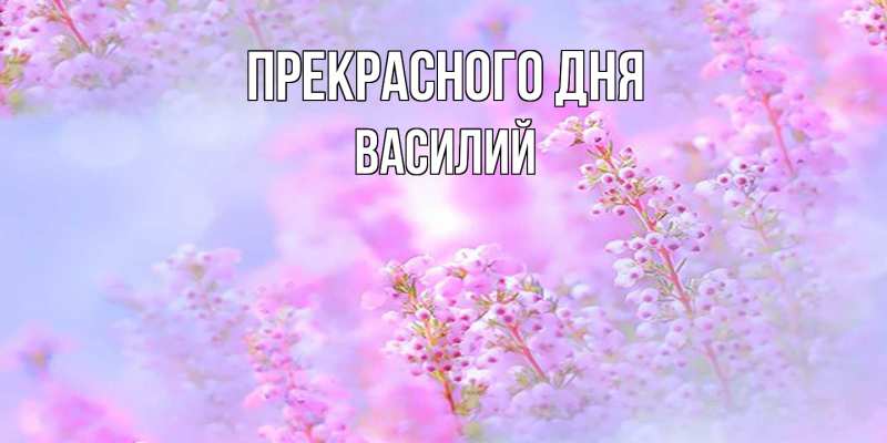 Картинка Прекрасного дня, Василий